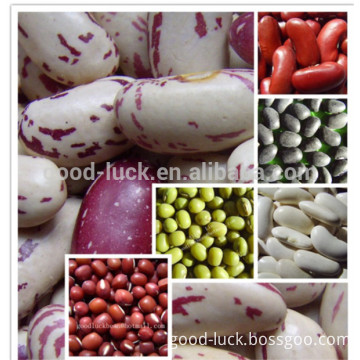 New Crop All Kinds of Beans,Pulses